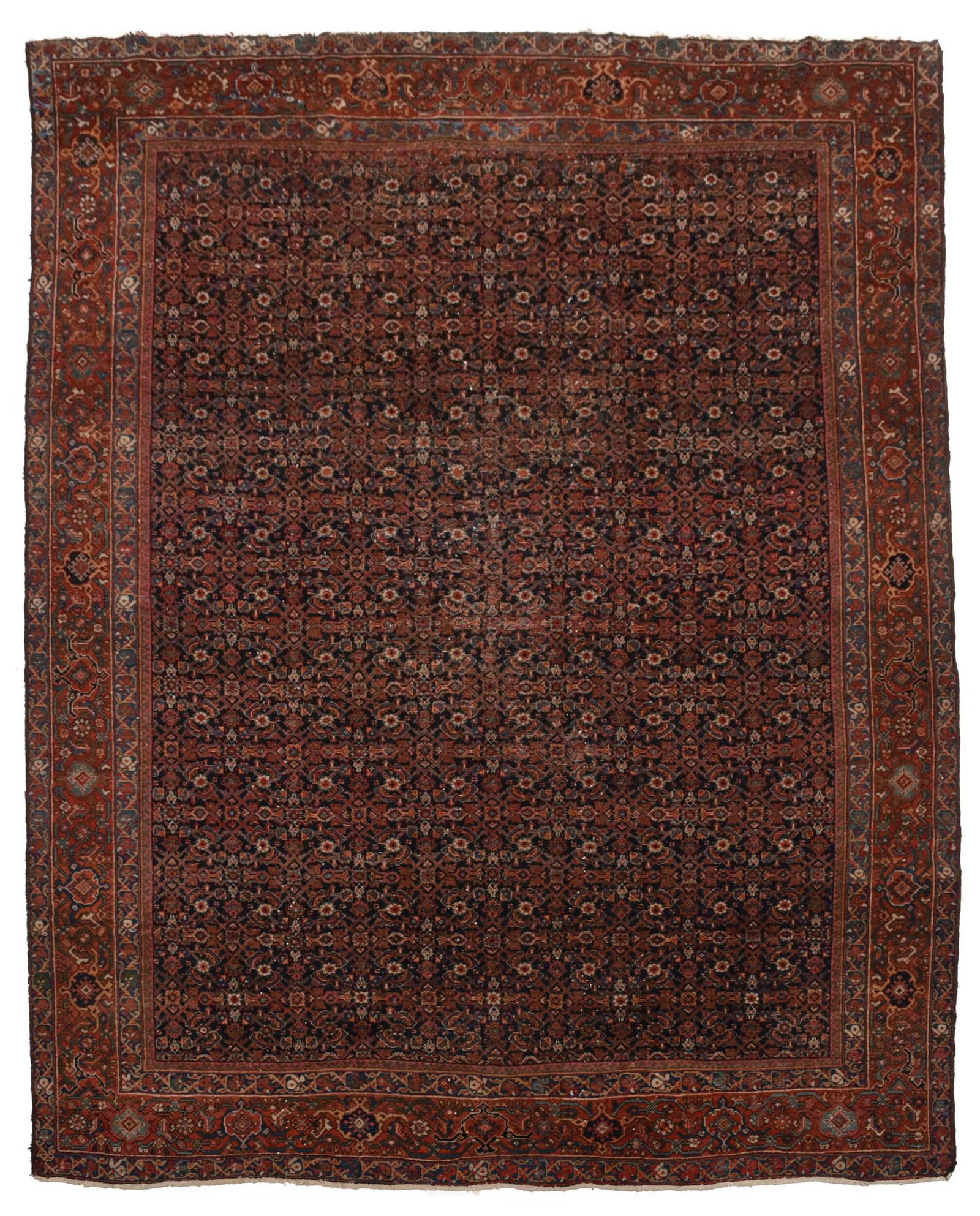 Mahal Carpet (1 of 7)