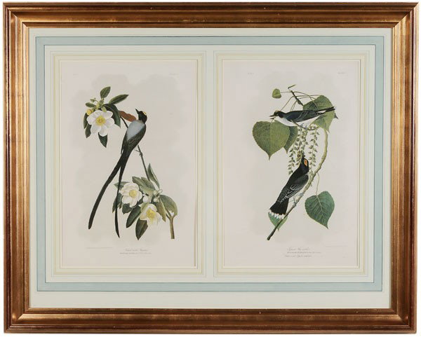 After John James Audubon: (New York, 1785-1851) "Forked-Tailed Fly Catcher", Plate 53, "Tyrant Fly Catcher", Plate 56, double elephant folios, from John Woodhouse Audubon, [The Birds of America,] New York, 1860, lithography by