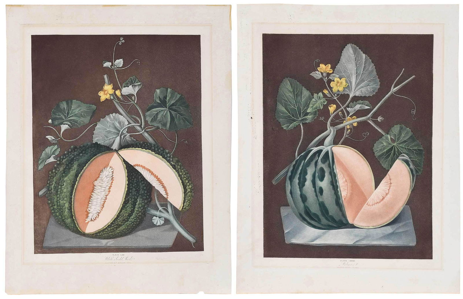 Two George Brookshaw Aquatints of Melons (1 of 10)