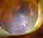 item-131361043=4