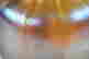 item-131361043=5