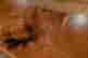 item-131361059=6
