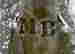 item-131361086=12