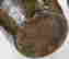 item-131361094=4