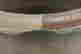 item-131361099=13