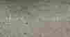 item-131361099=9