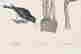 item-131361113=11