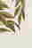 item-131361114=4