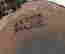 item-131361149=8