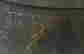 item-131361150=12