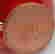 item-131361151=6