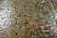 item-131361156=10