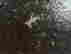 item-131361156=9