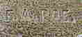 item-131361166=10
