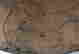 item-131361166=15
