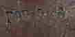 item-131361166=9
