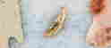 item-131361187=2
