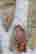 item-131361187=4