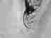 item-131361223=9