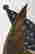 item-131366324=4