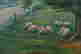 item-131366326=6