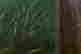 item-131366326=7