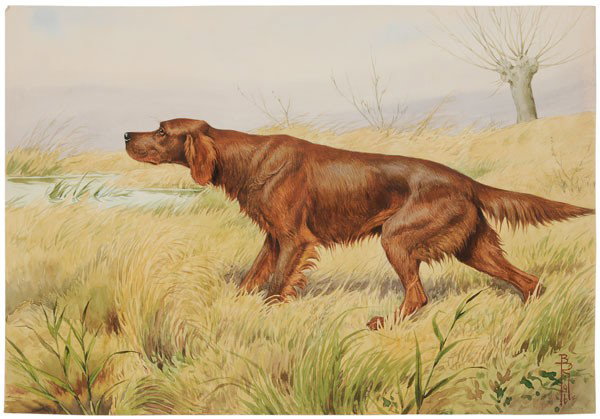 Boris Riab: (French/Russian, 1898-1975), Irish Setter Pointing in a Field, signed lower right "B. Riab", watercolor on paper, unframed, 13-7/8 x 19-7/8 in., handling creases, light toning, light foxing at right e