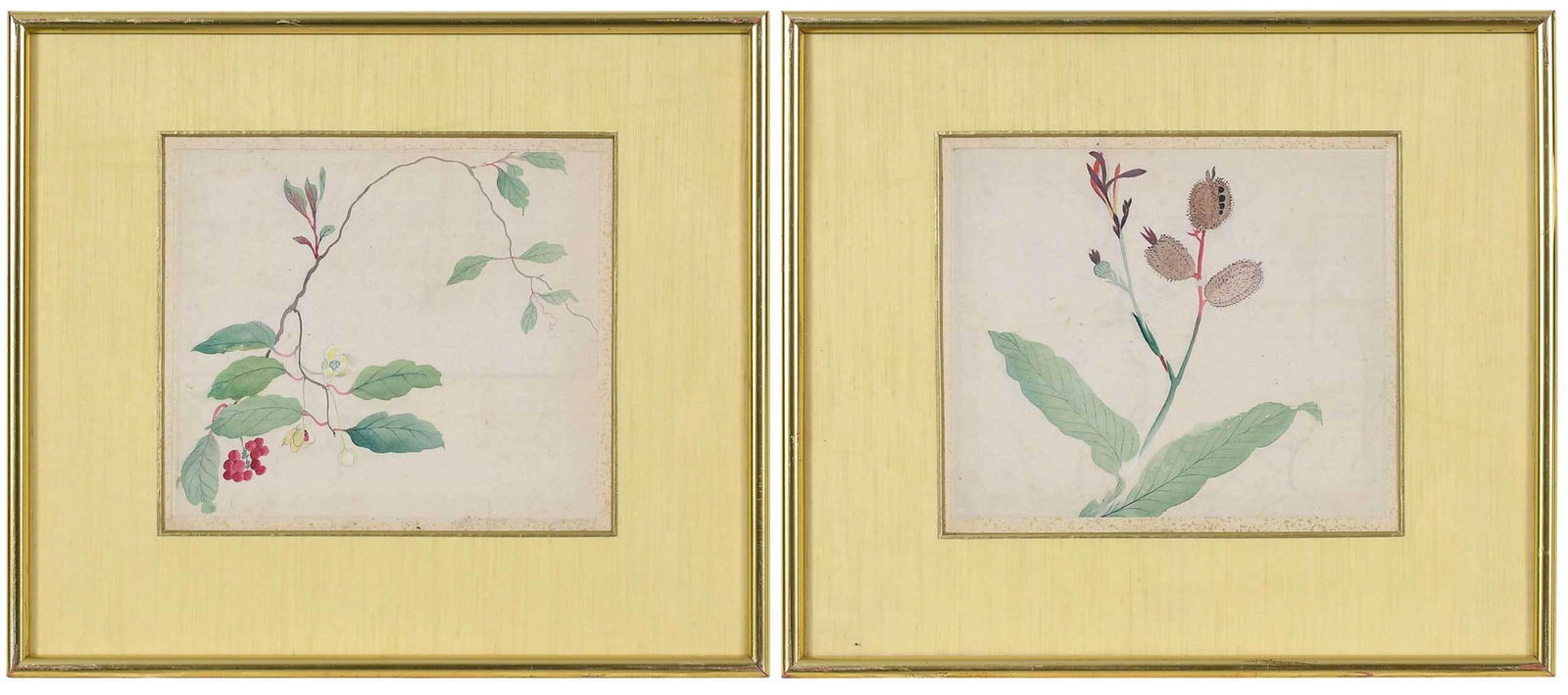 Pair of Framed Chinese Botanical Watercolors (1 of 5)