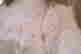 item-135835590=5