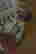 item-135835650=4