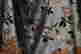 item-135835714=12