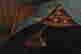 item-135835727=5
