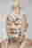 item-135835755=2