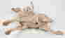 item-135835801=2