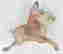 item-135835801=3
