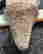item-135835826=15