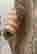 item-135835826=16
