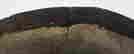 item-135836137=14