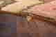 item-135836192=13
