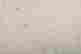 item-135836211=3