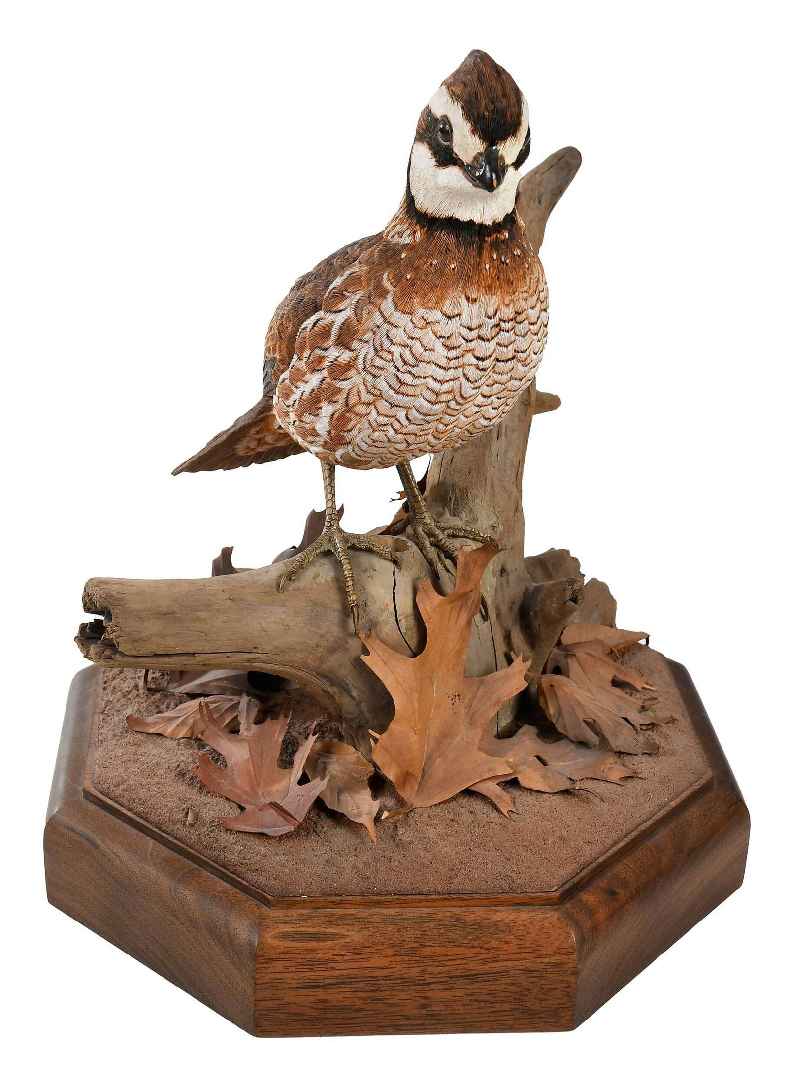 Ernest F. Muehlmatt (1 of 12)