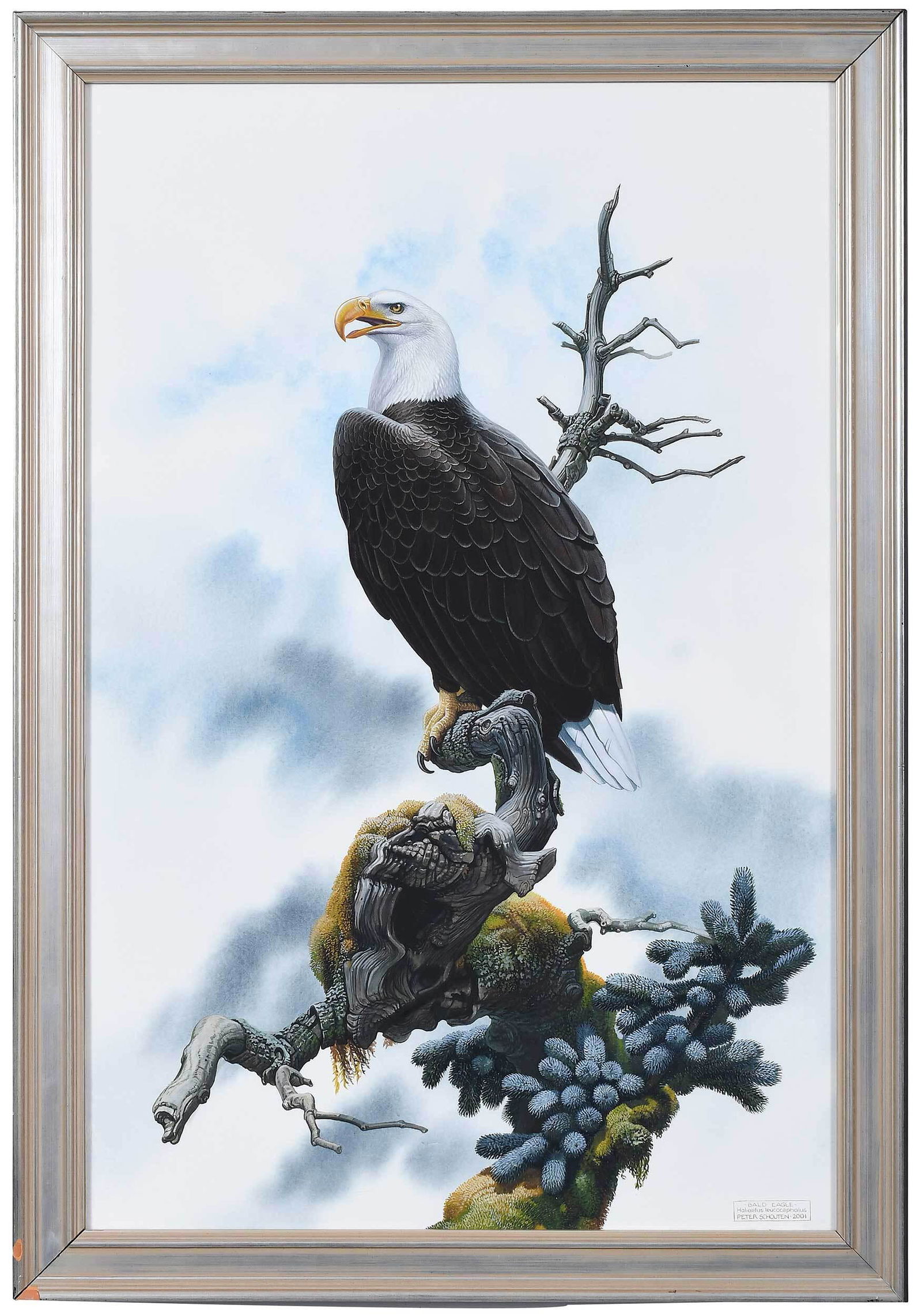 Peter Schouten (1 of 4)