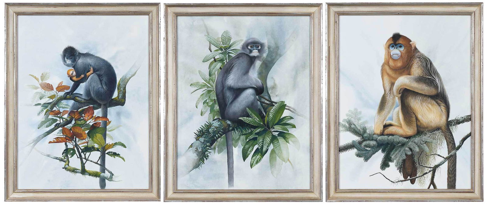 Three Peter Schouten Watercolors, Monkeys (1 of 13)