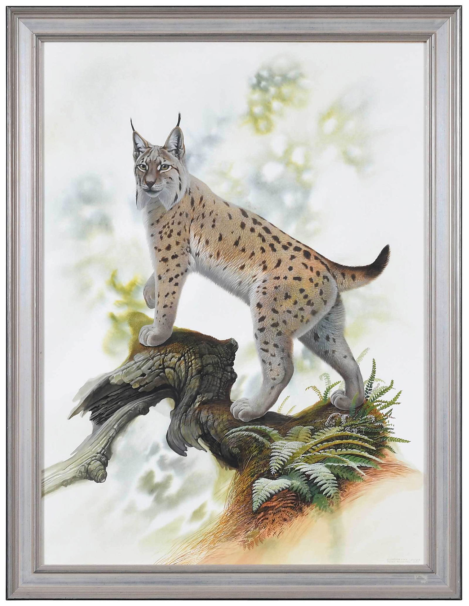 Peter Schouten (1 of 5)