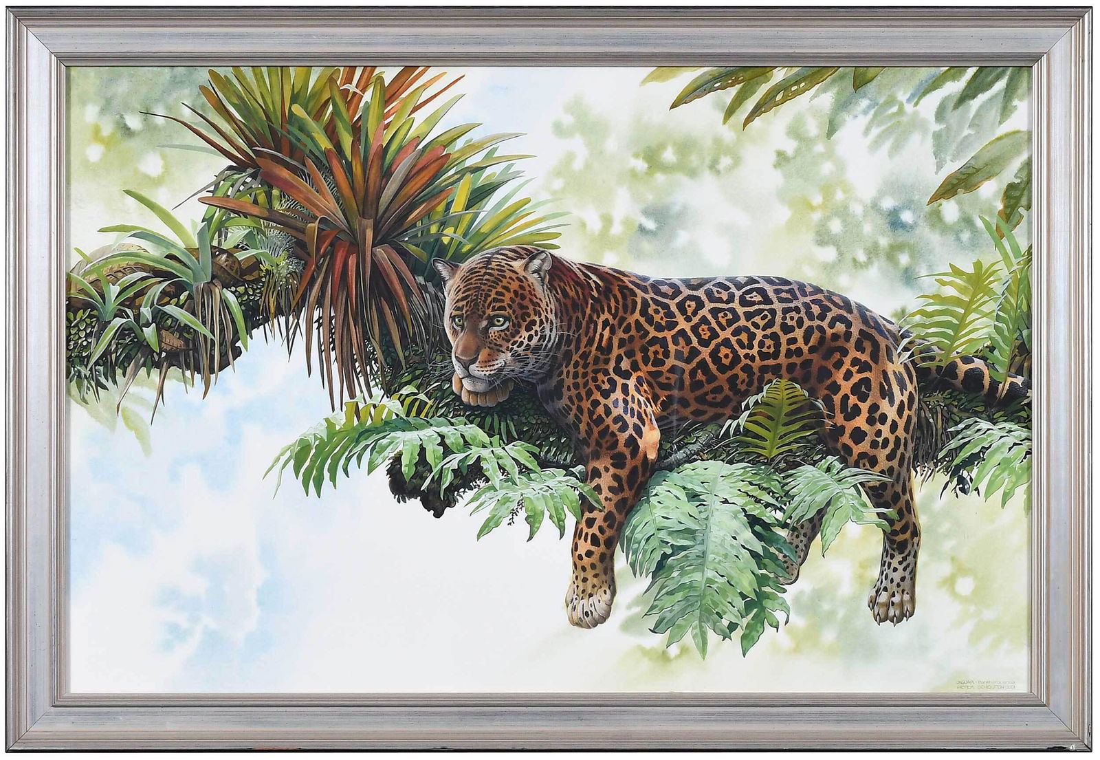 Peter Schouten (1 of 5)