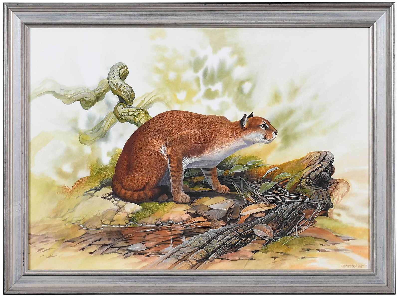 Peter Schouten (1 of 4)