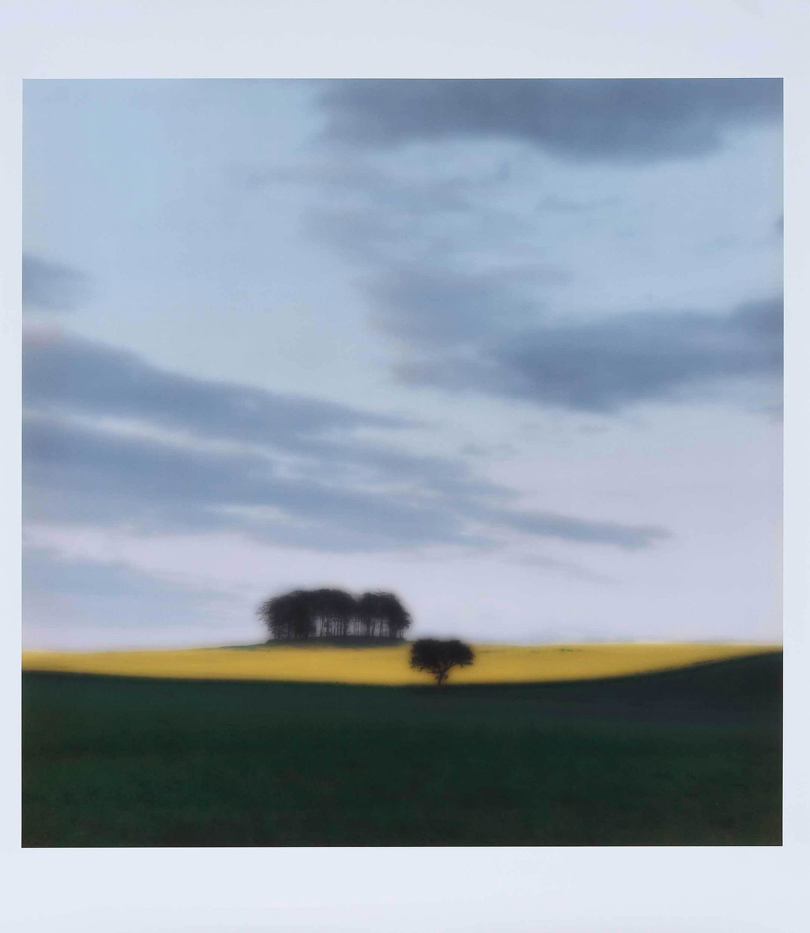 Lynn Geesaman (1 of 7)