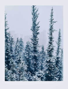 Eliot Porter: (American, 1901-1990) winter wooded landscape scene, signed mount recto, artist stamp verso, gelatin silver print, 10-1/2 x 8 in.; mounted, 20 x 15 in. Provenance: Private Collection, Wisconsin