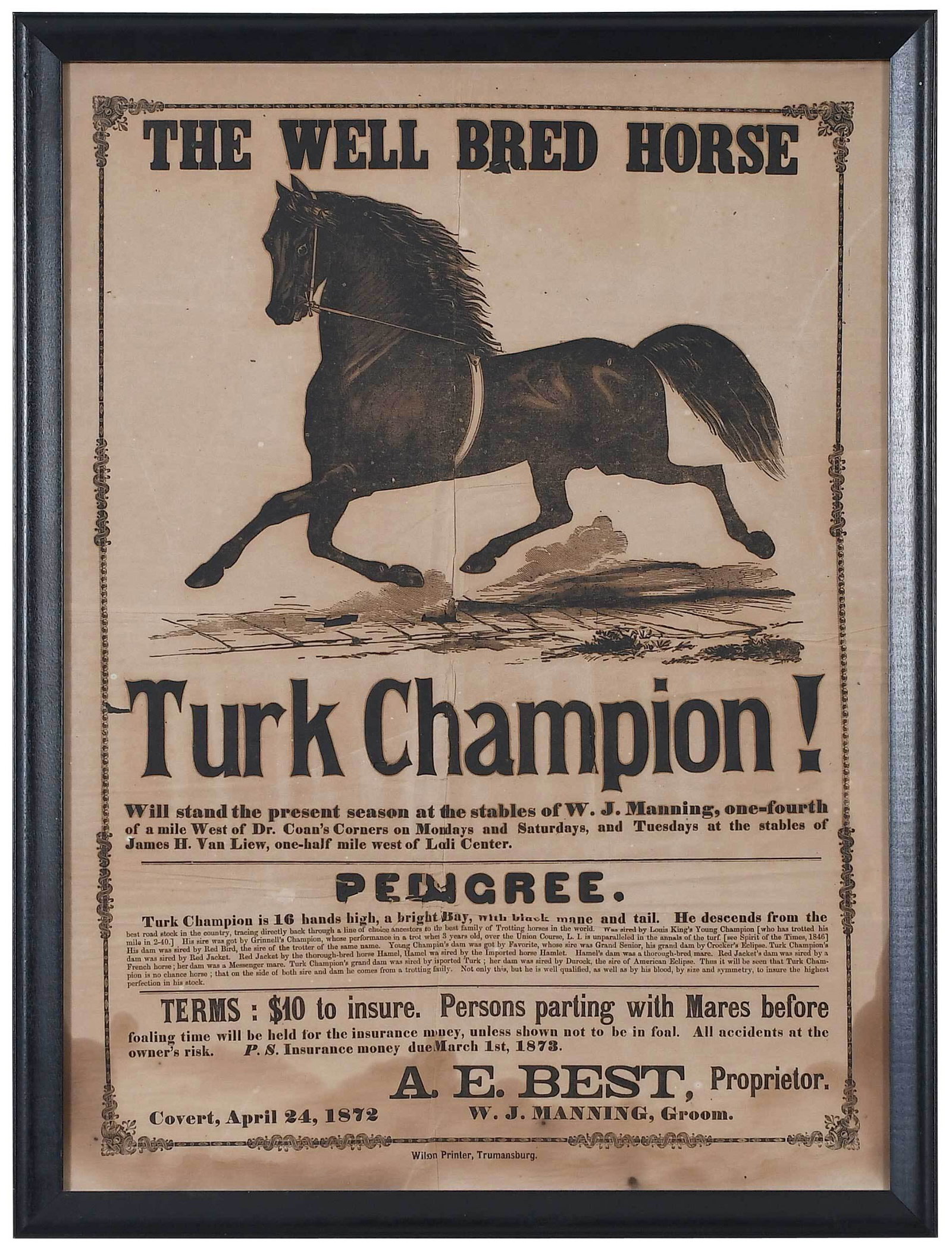 Framed American Horse Breeding Broadside: dated April 24, 1872, "The Well Bred Horse, Turk Champion!," Trumansburg, New York: Wilson Printer, advertisement for the availability of the stud horse Turk Champion, sight 22-3/4 x 16-1/2 in.; eboni