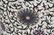 253: Chinese Cloisonné Vase - 6